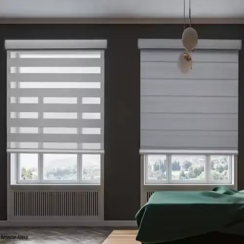 Zebra Blinds
